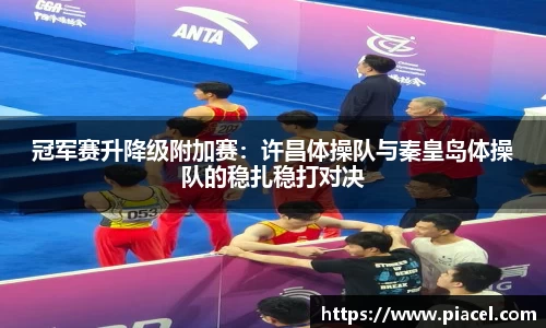 冠军赛升降级附加赛：许昌体操队与秦皇岛体操队的稳扎稳打对决