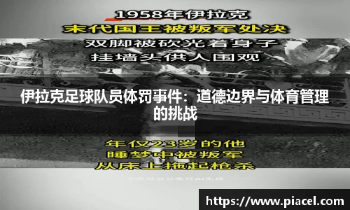 bifa必发官方app